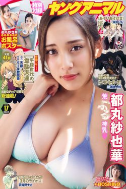 风筝全集